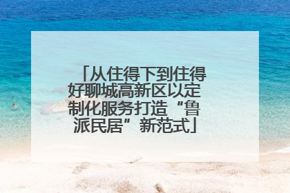 从住得下到住得好聊城高新区以定制化服务打造“鲁派民居”新范式