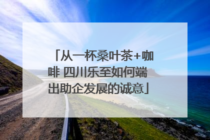 从一杯桑叶茶+咖啡 四川乐至如何端出助企发展的诚意