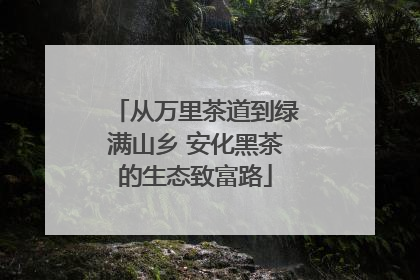 从万里茶道到绿满山乡 安化黑茶的生态致富路