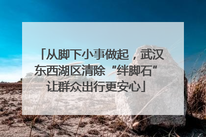 从脚下小事做起，武汉东西湖区清除“绊脚石”让群众出行更安心