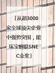 从超3000家全球顶尖企业中强势突围，能环宝蝉联SNEC金奖