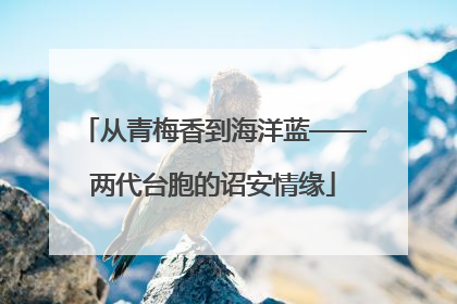 从青梅香到海洋蓝——两代台胞的诏安情缘