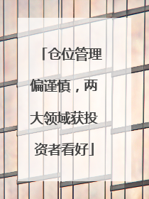仓位管理偏谨慎，两大领域获投资者看好