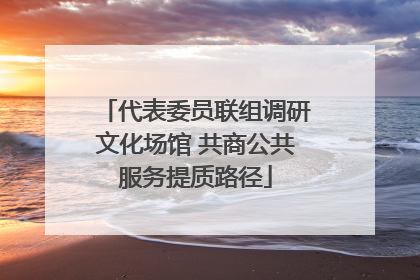 代表委员联组调研文化场馆 共商公共服务提质路径