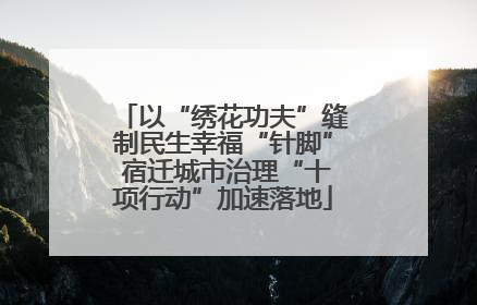 以“绣花功夫”缝制民生幸福“针脚” 宿迁城市治理“十项行动”加速落地
