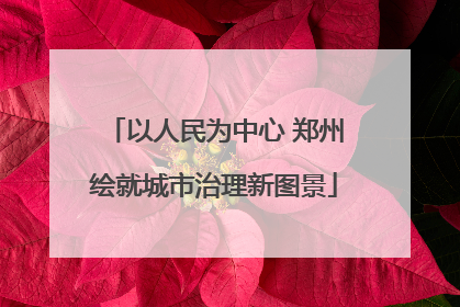 以人民为中心 郑州绘就城市治理新图景