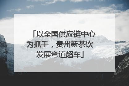 以全国供应链中心为抓手，贵州新茶饮发展弯道超车