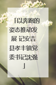 以奔跑的姿态推动发展 记安吉县孝丰镇党委书记沈强