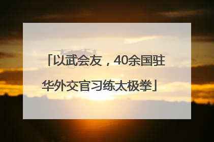 以武会友，40余国驻华外交官习练太极拳