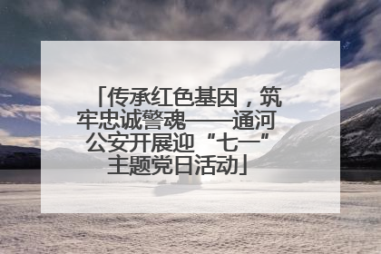 传承红色基因，筑牢忠诚警魂——通河公安开展迎“七一”主题党日活动