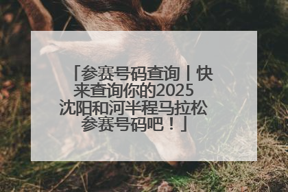 参赛号码查询丨快来查询你的2025沈阳和河半程马拉松参赛号码吧！