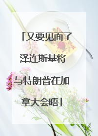 又要见面了 泽连斯基将与特朗普在加拿大会晤