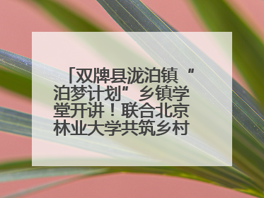 双牌县泷泊镇“泊梦计划”乡镇学堂开讲！联合北京林业大学共筑乡村教育新未来