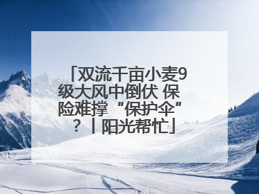 双流千亩小麦9级大风中倒伏 保险难撑“保护伞”？丨阳光帮忙