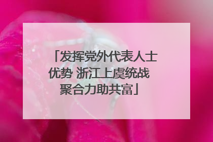 发挥党外代表人士优势 浙江上虞统战聚合力助共富