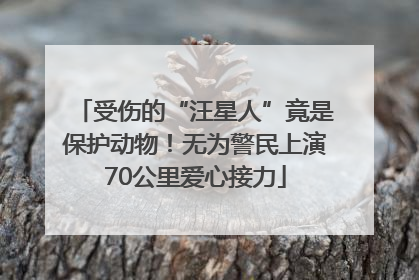 受伤的“汪星人”竟是保护动物！无为警民上演70公里爱心接力