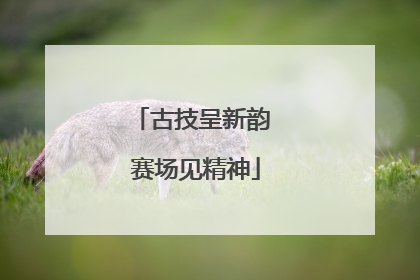 古技呈新韵 赛场见精神