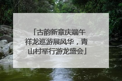 古韵新章庆端午 祥龙巡游展风华，青山村举行游龙盛会