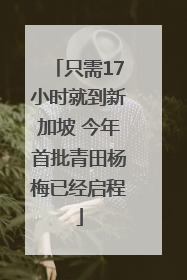 只需17小时就到新加坡 今年首批青田杨梅已经启程
