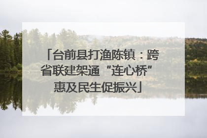 台前县打渔陈镇：跨省联建架通“连心桥” 惠及民生促振兴
