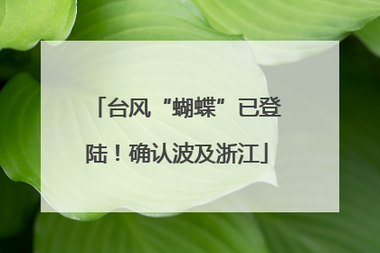 台风“蝴蝶”已登陆！确认波及浙江