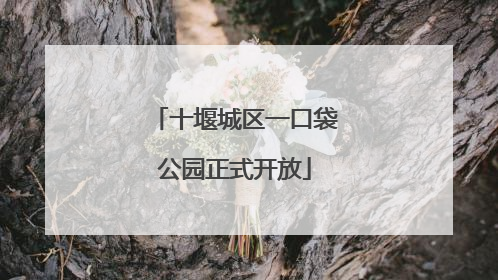 十堰城区一口袋公园正式开放