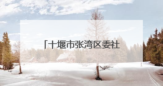 十堰市张湾区委社会工作部为社区工作者“送清凉”