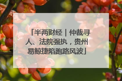 半两财经｜仲裁寻人、法院强执，贵州易鲸捷陷跑路风波