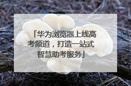 华为浏览器上线高考频道，打造一站式智慧助考服务