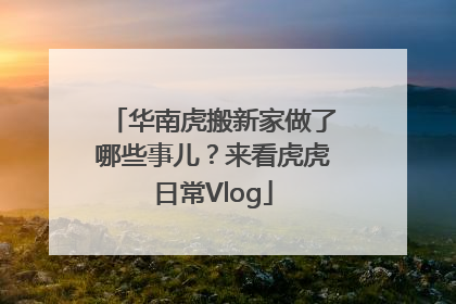 华南虎搬新家做了哪些事儿？来看虎虎日常Vlog