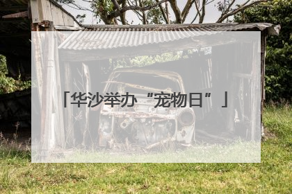 华沙举办“宠物日”
