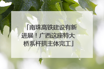 南珠高铁建设有新进展！广西这座特大桥系杆拱主体完工