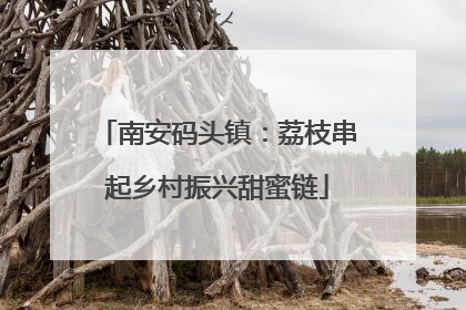 南安码头镇：荔枝串起乡村振兴甜蜜链