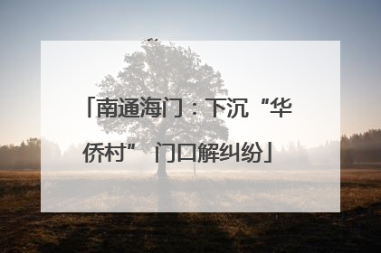 南通海门：下沉“华侨村” 门口解纠纷