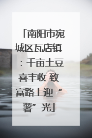 南阳市宛城区瓦店镇：千亩土豆喜丰收 致富路上迎“薯”光