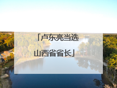 卢东亮当选山西省省长