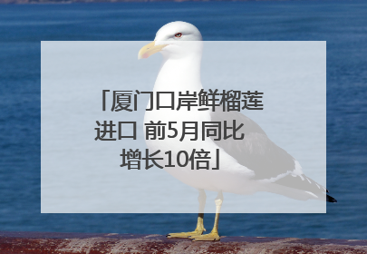 厦门口岸鲜榴莲进口 前5月同比增长10倍