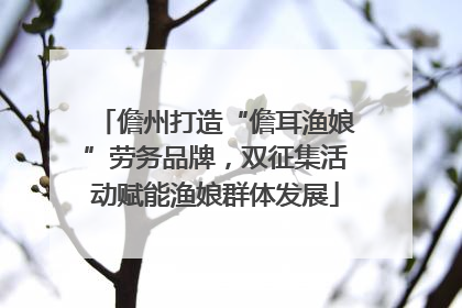 儋州打造“儋耳渔娘”劳务品牌，双征集活动赋能渔娘群体发展