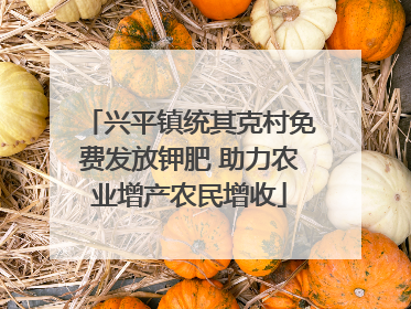 兴平镇统其克村免费发放钾肥 助力农业增产农民增收