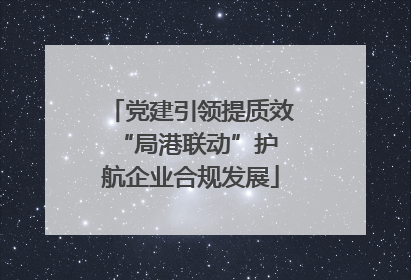 党建引领提质效 “局港联动”护航企业合规发展