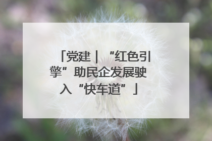 党建｜“红色引擎”助民企发展驶入“快车道”