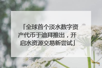 全球首个淡水数字资产代币于迪拜推出，开启水资源交易新尝试