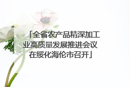 全省农产品精深加工业高质量发展推进会议在绥化海伦市召开