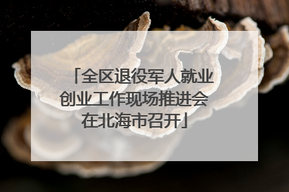 全区退役军人就业创业工作现场推进会在北海市召开