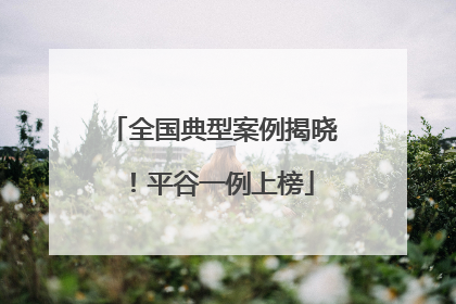 全国典型案例揭晓！平谷一例上榜
