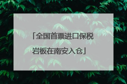 全国首票进口保税岩板在南安入仓