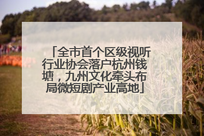 全市首个区级视听行业协会落户杭州钱塘，九州文化牵头布局微短剧产业高地