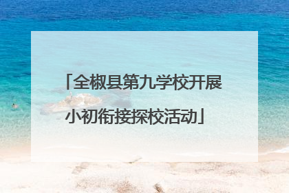 全椒县第九学校开展小初衔接探校活动