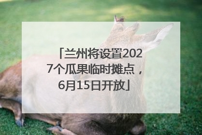 兰州将设置2027个瓜果临时摊点，6月15日开放