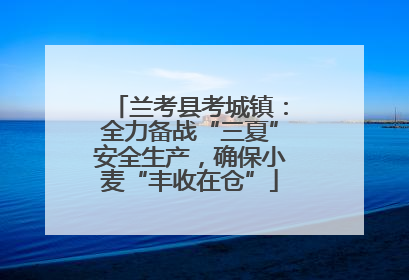 兰考县考城镇：全力备战“三夏”安全生产，确保小麦“丰收在仓”